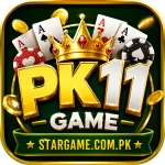 PK11 Game